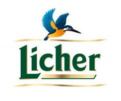 logo-referenzen_0047_Licher